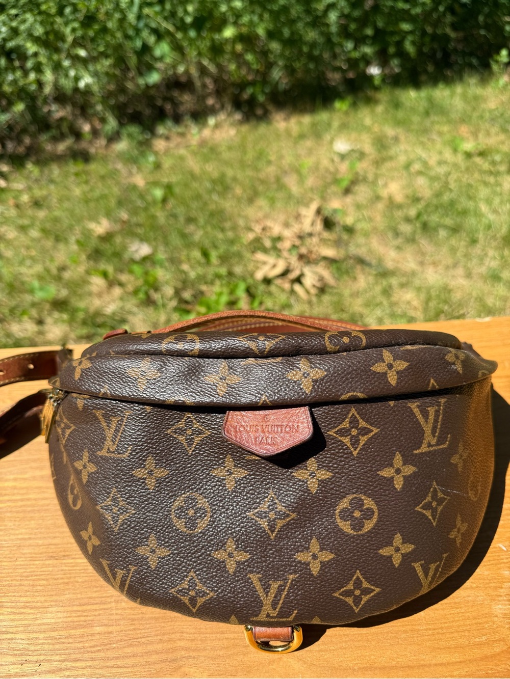 Louis Vuitton Monogram Canvas Belt Bag - Brown and Tan
